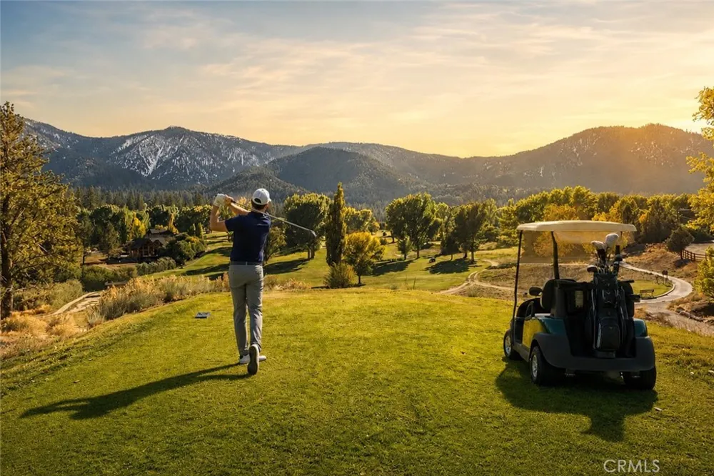 16001 Mil Potrero Highway Pine Mountain Club, CA 93222