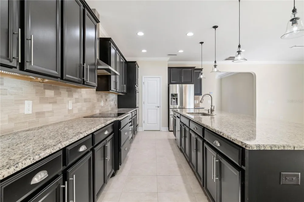 4522 SCARLET LOOP Wesley Chapel, FL 33544