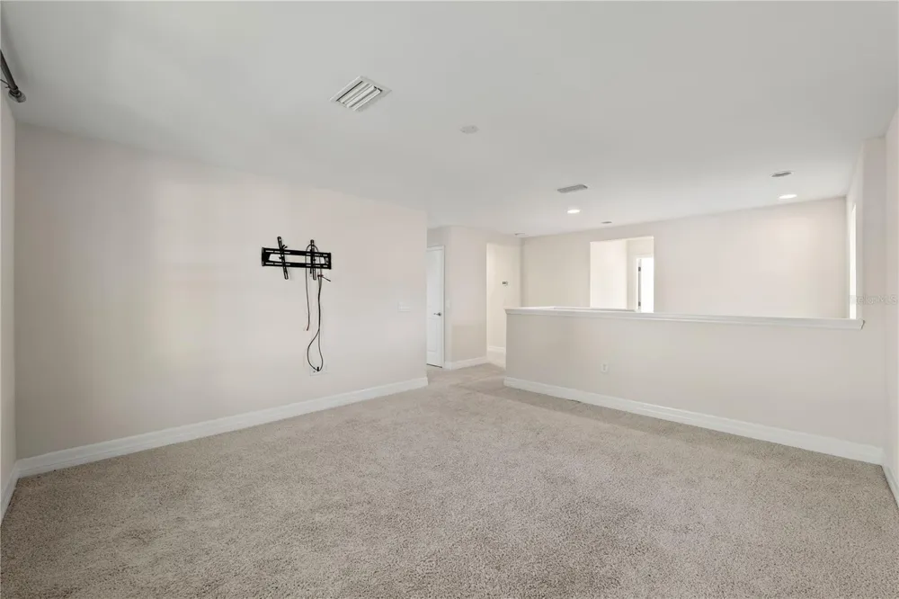 4522 SCARLET LOOP Wesley Chapel, FL 33544