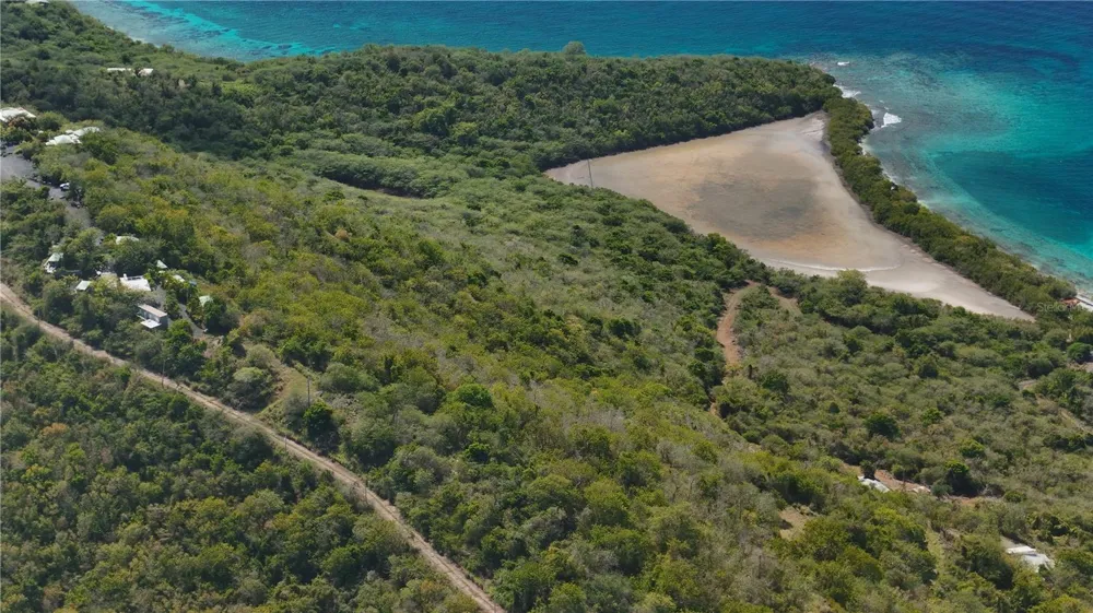 3a BARRIO FLAMENCO TAMARINDO BEACH Culebra, PR 00775