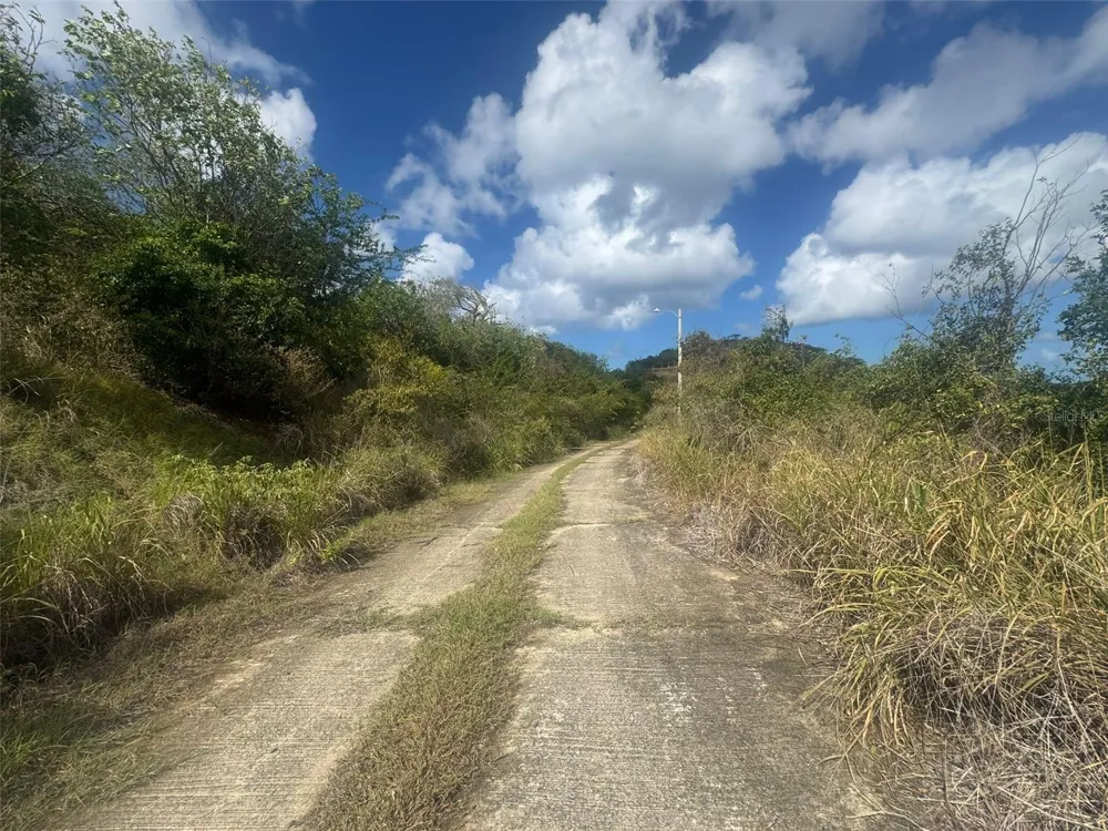 3a BARRIO FLAMENCO TAMARINDO BEACH Culebra, PR 00775