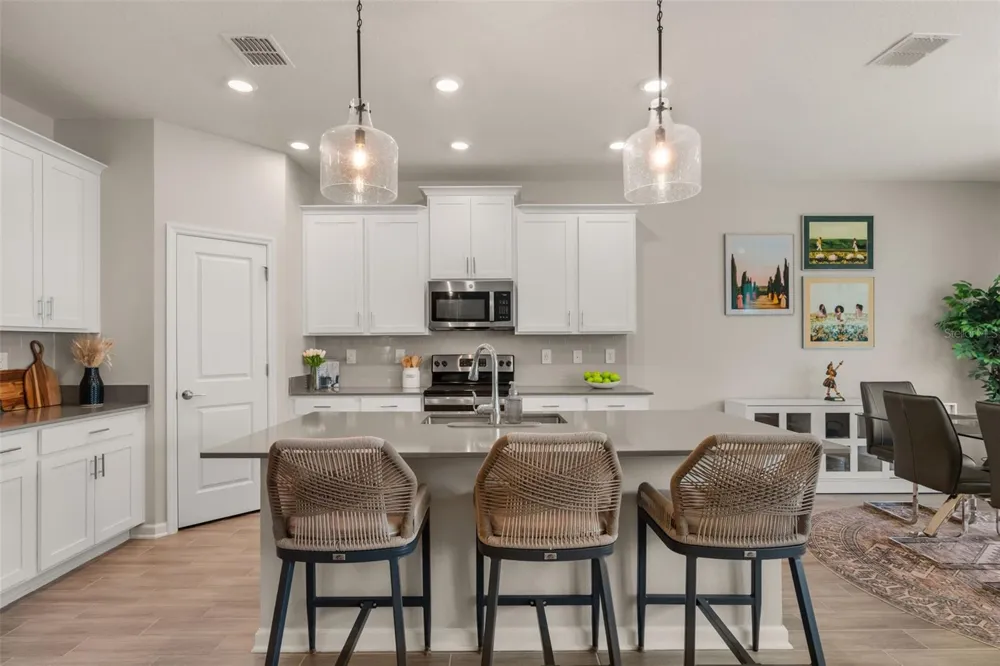 1919 PERCH HAMMOCK LOOP Groveland, FL 34736