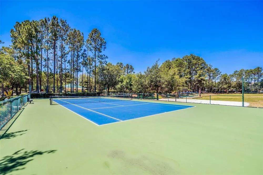 12947 RUNSWICK AVENUE Windermere, FL 34786