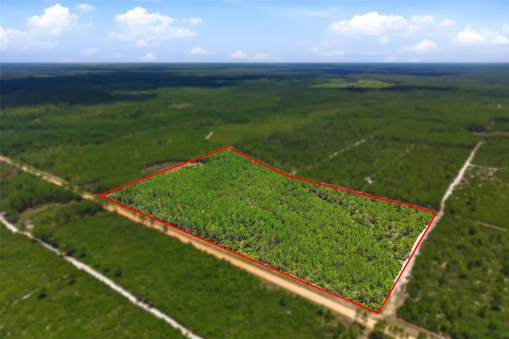LOT 70 MAGGIE JONES ROAD ROAD Eustis, FL 32736