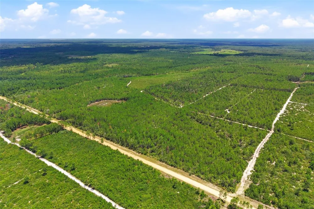 LOT 70 MAGGIE JONES ROAD ROAD Eustis, FL 32736