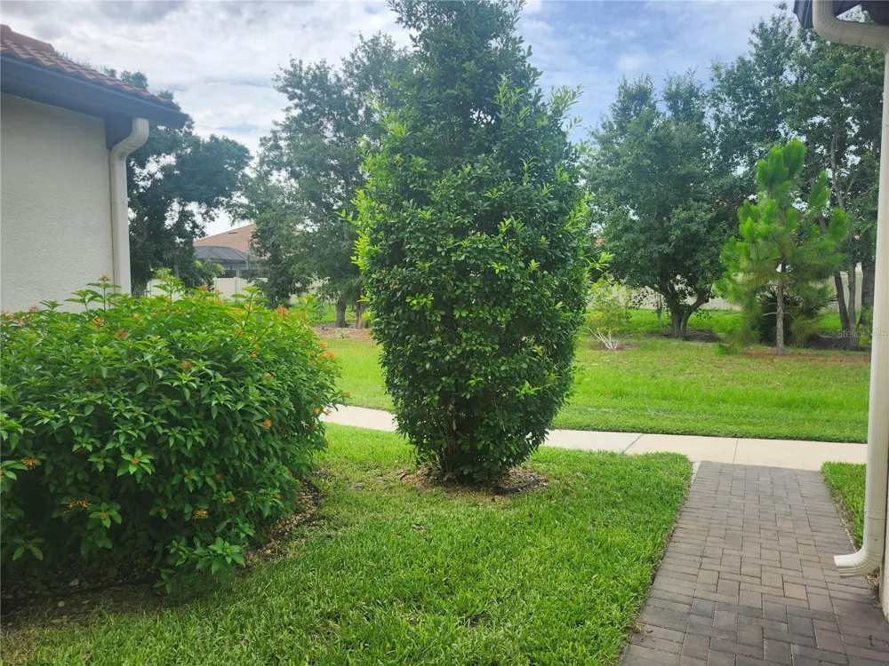 5305 STOIC VALE DRIVE Wimauma, FL 33598