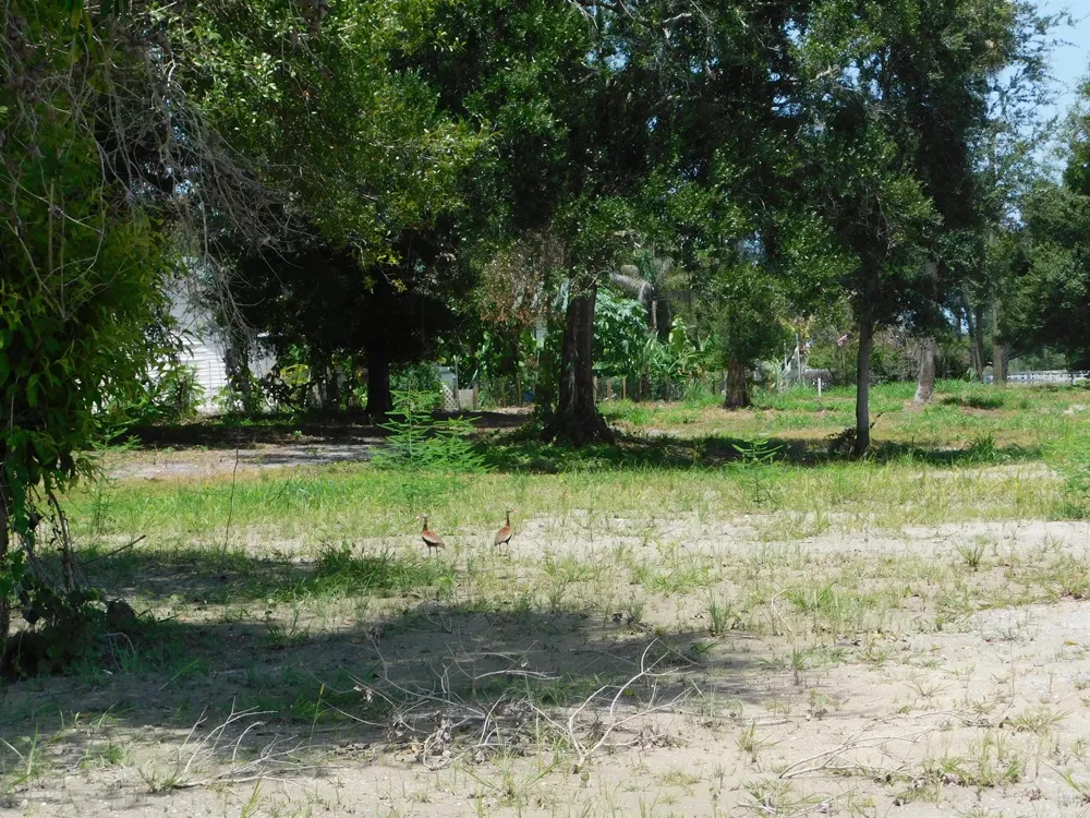 3625 SUNRISE BOULEVARD Fort Pierce, FL 34982