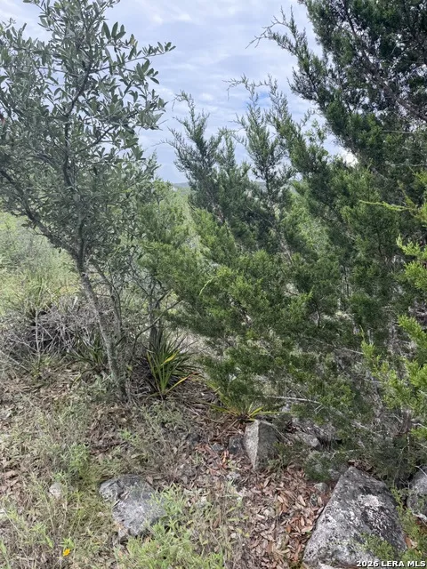 187 PRIVATE ROAD 1712 Mico, TX 78056