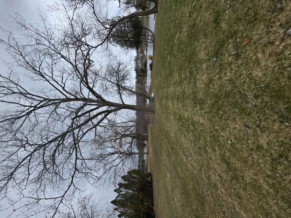 641 Dunleavy Drive Highland, MI 48356