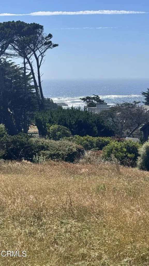 10980 Palette Drive Mendocino, CA 95460
