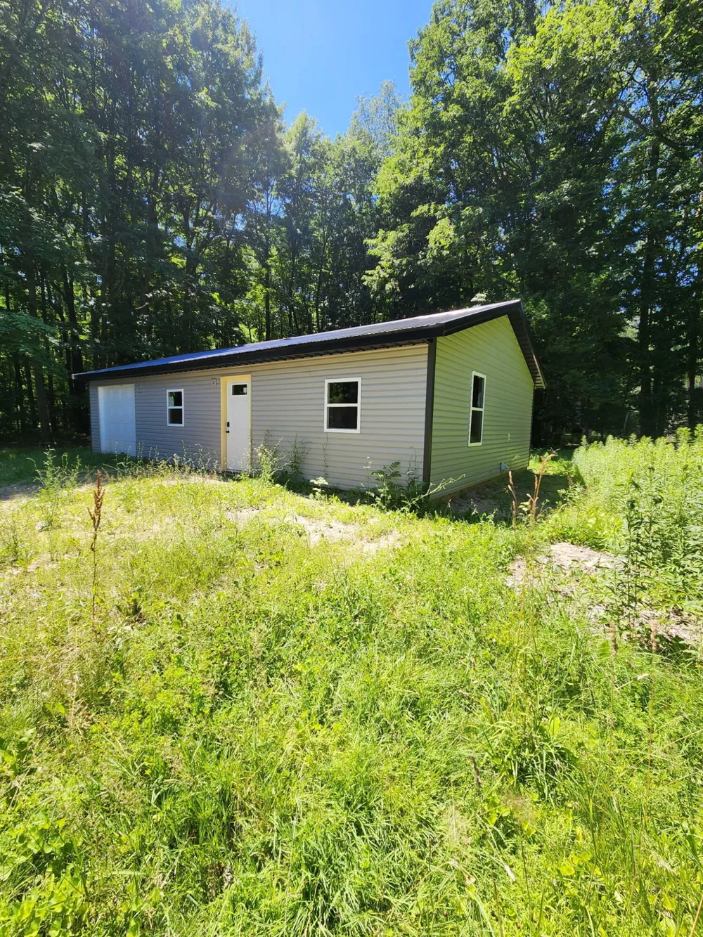4830 Beech Drive Lakeview, MI 48850