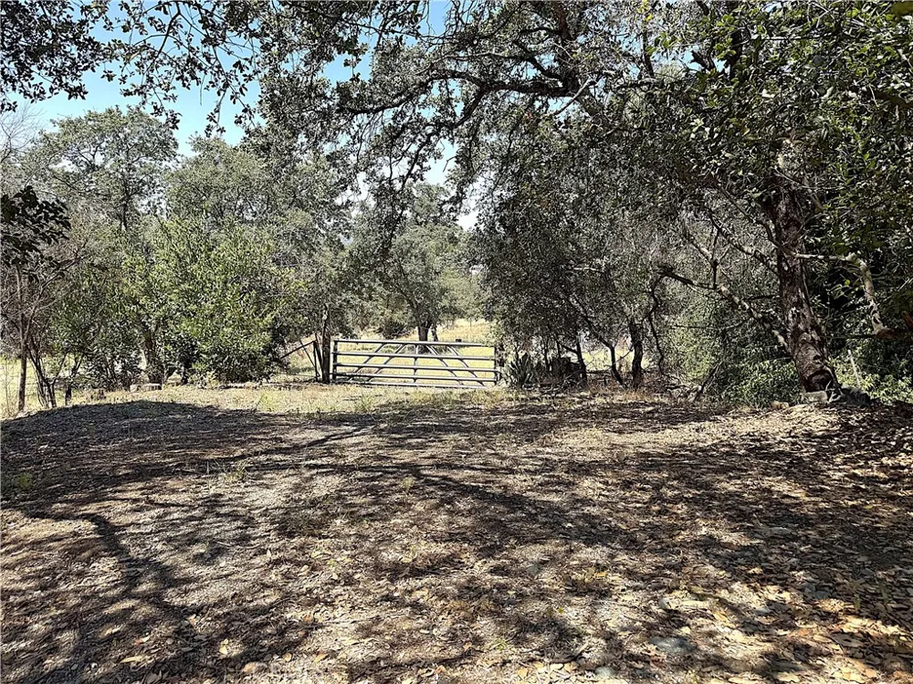 Skyline Boulevard Oroville, CA 95966