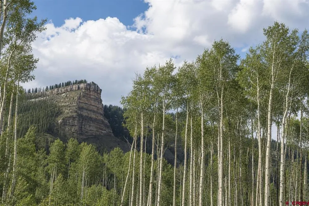 83 Long Story Road Durango, CO 81301