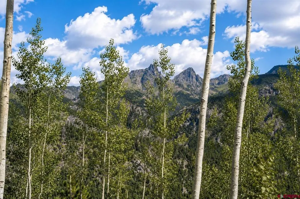 83 Long Story Road Durango, CO 81301