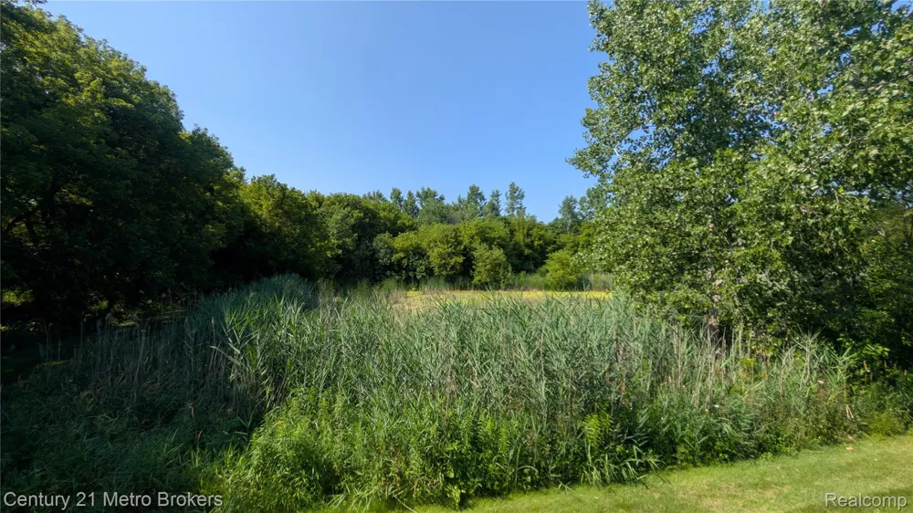 9285 Horizon Drive Richfield Township, MI 48423