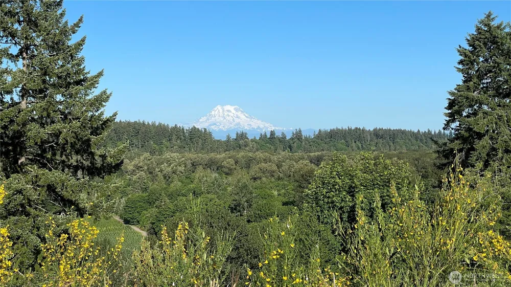 1546 Reservation Road SE #62 Olympia, WA 98513
