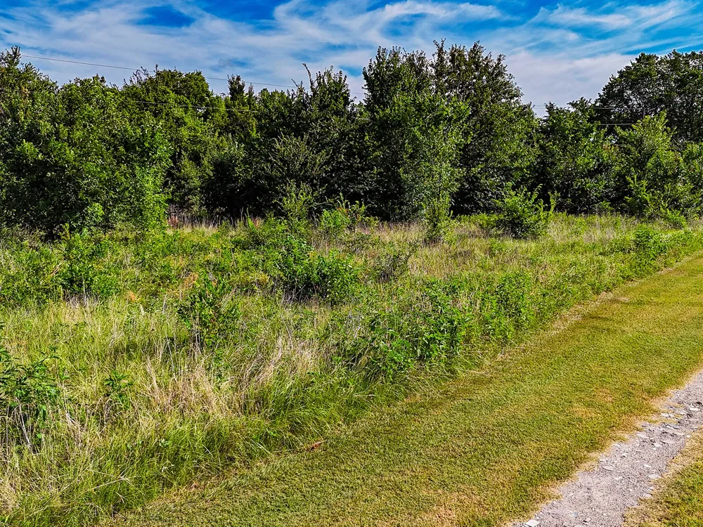Co Rd 301 Terrell, TX 75160