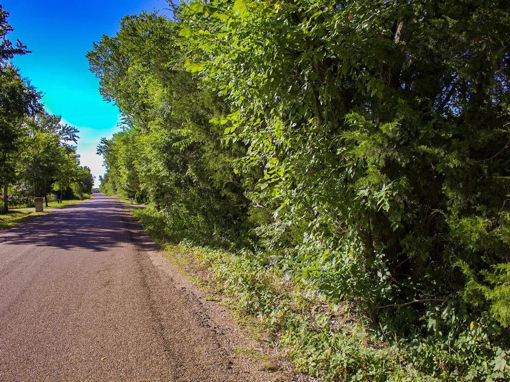 Co Rd 301 Terrell, TX 75160