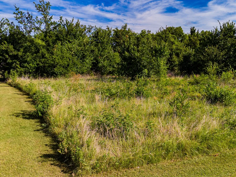 Co Rd 301 Terrell, TX 75160