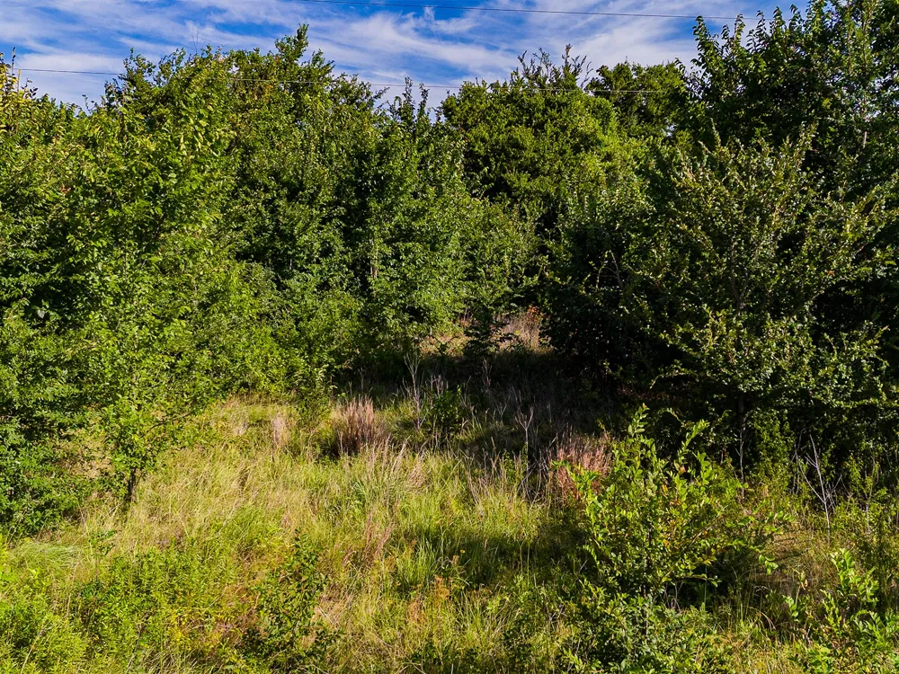 Co Rd 301 Terrell, TX 75160