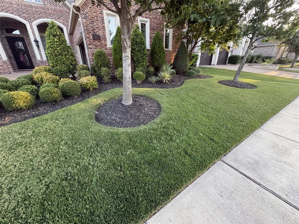 2251 Kennedy Drive Frisco, TX 75034