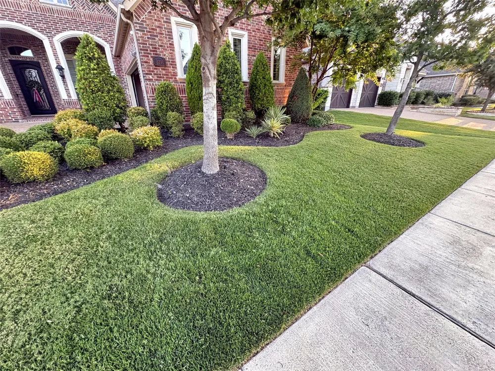 2251 Kennedy Drive Frisco, TX 75034
