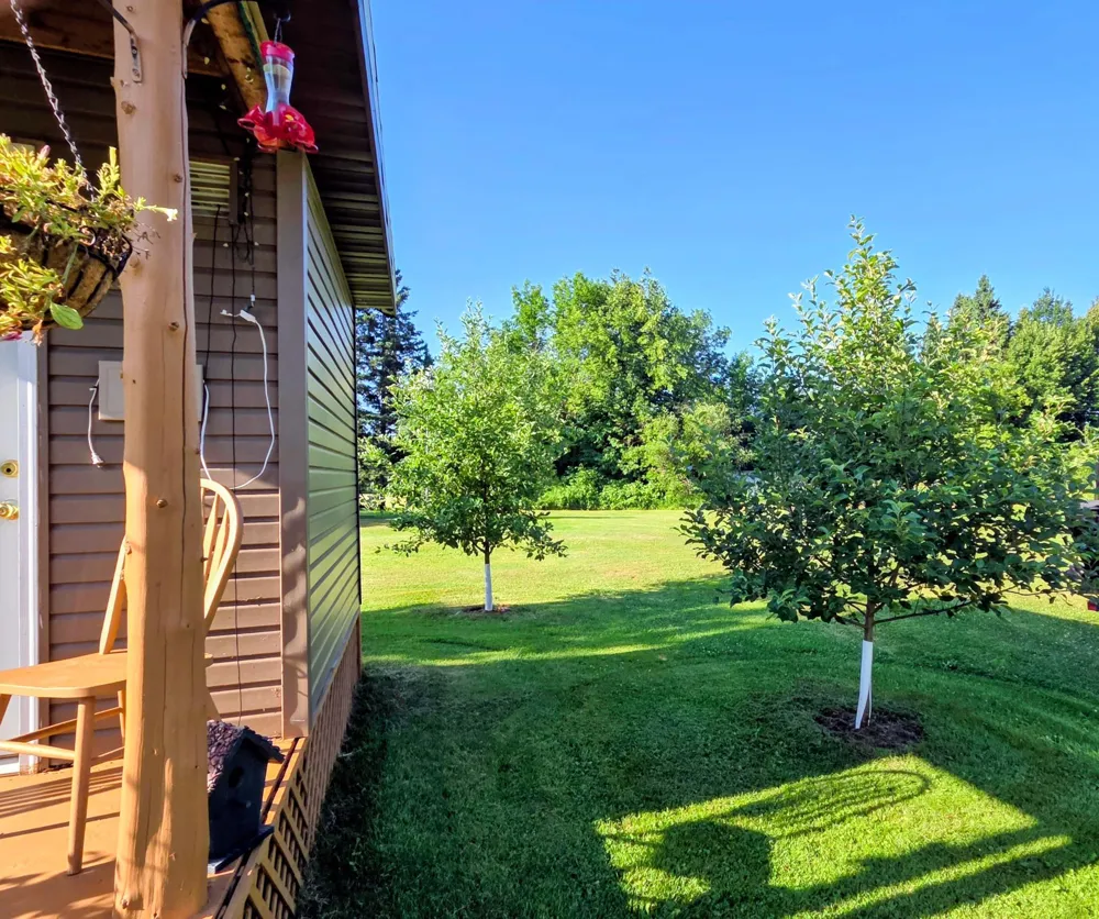 11340 Itasca Street Mizpah, MN 56660