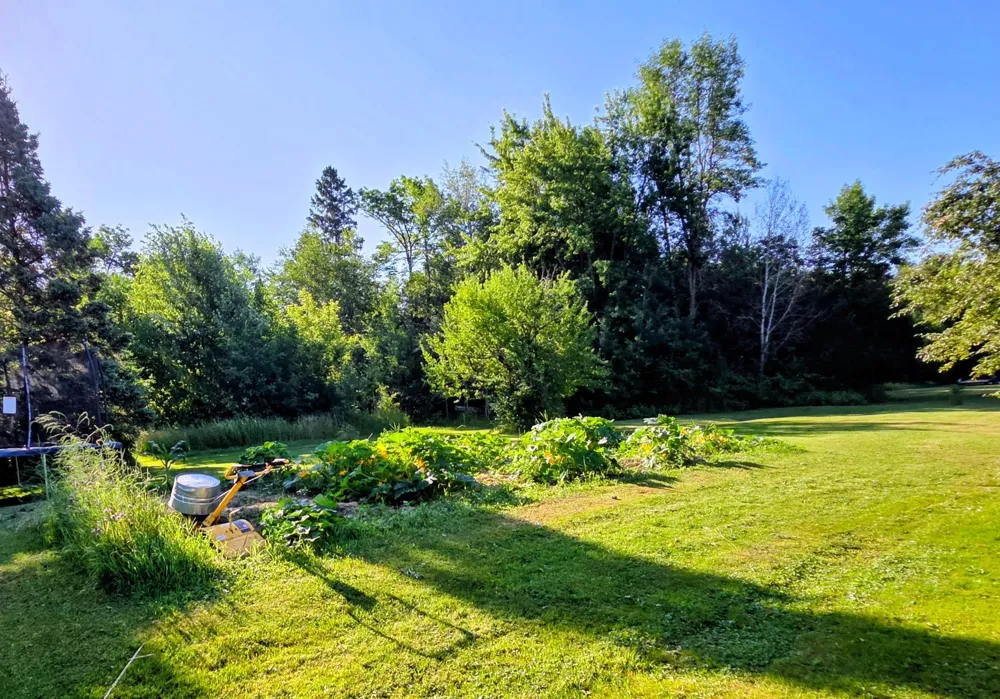 11340 Itasca Street Mizpah, MN 56660