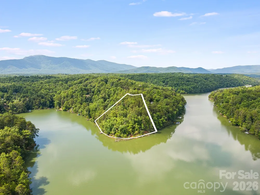 00 Canoe Drive #40 Mill Spring, NC 28756