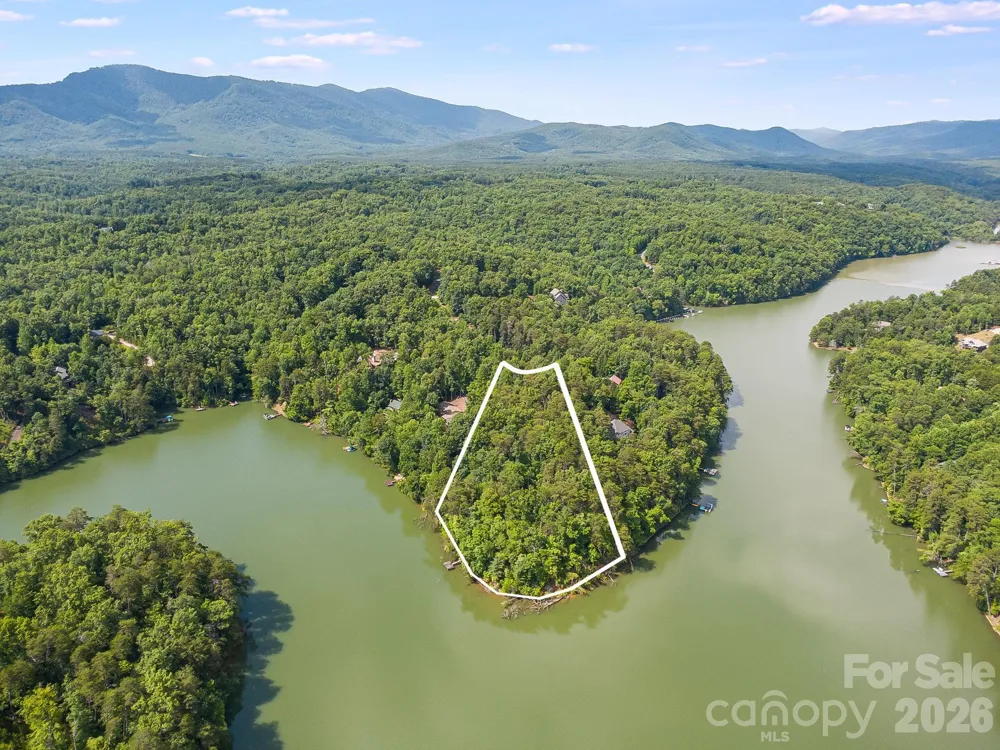 00 Canoe Drive #40 Mill Spring, NC 28756