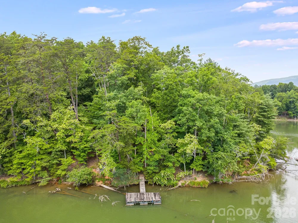 00 Canoe Drive #40 Mill Spring, NC 28756