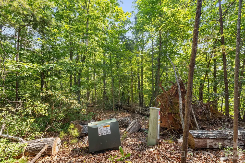 00 Canoe Drive #40 Mill Spring, NC 28756