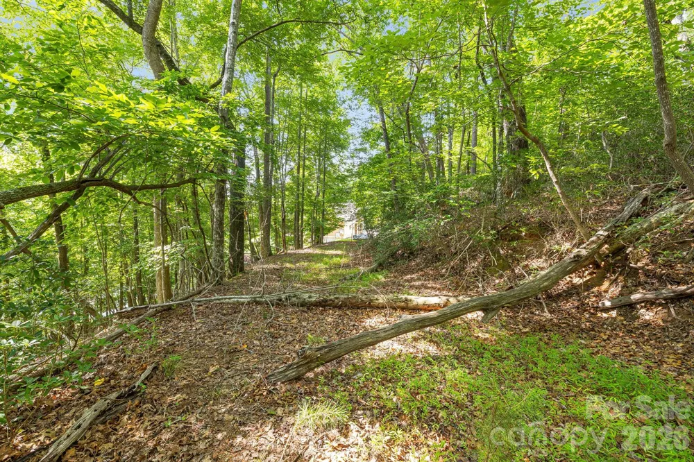 00 Canoe Drive #40 Mill Spring, NC 28756