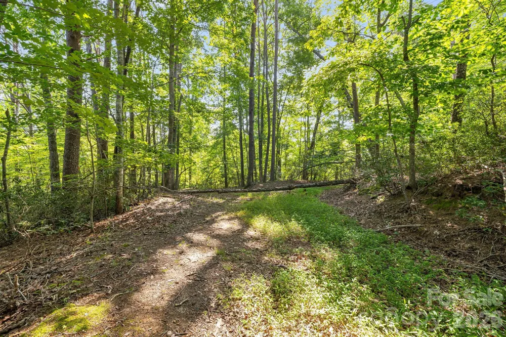 00 Canoe Drive #40 Mill Spring, NC 28756