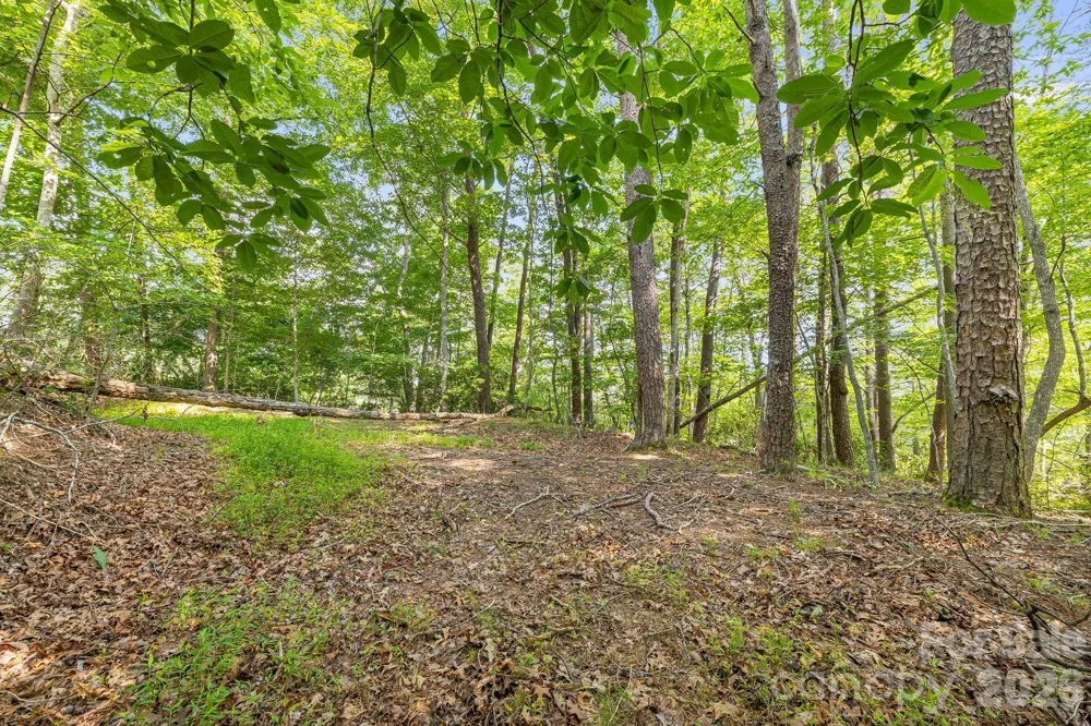 00 Canoe Drive #40 Mill Spring, NC 28756
