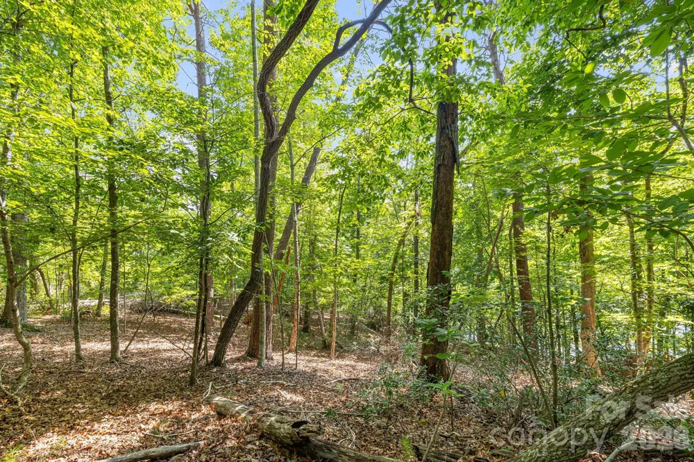 00 Canoe Drive #40 Mill Spring, NC 28756