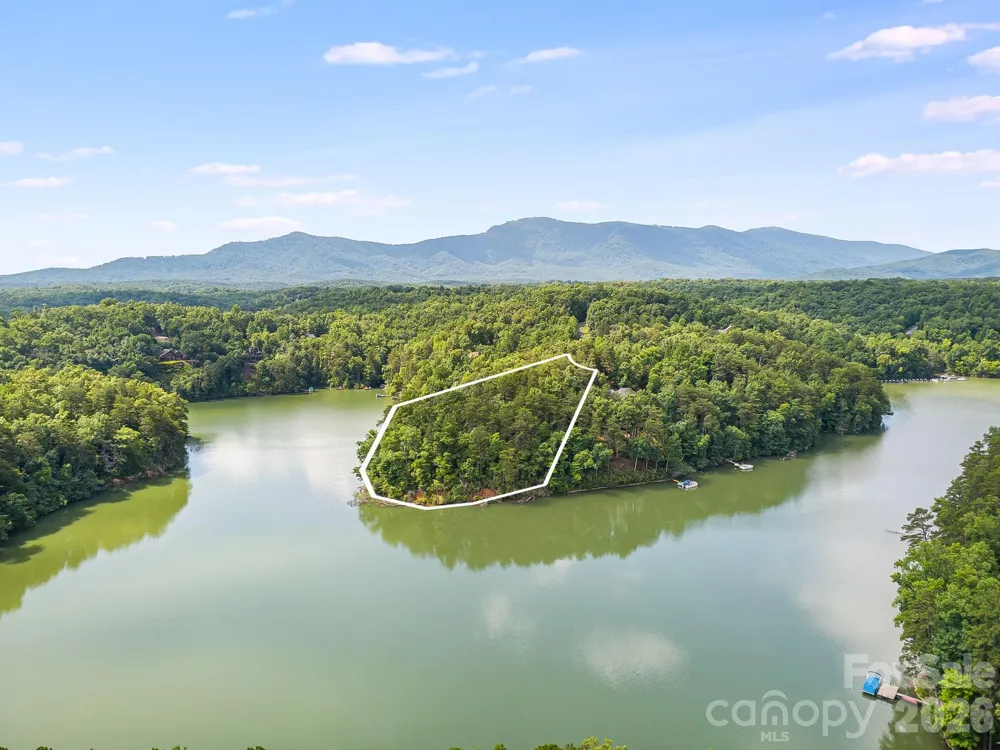 00 Canoe Drive #40 Mill Spring, NC 28756
