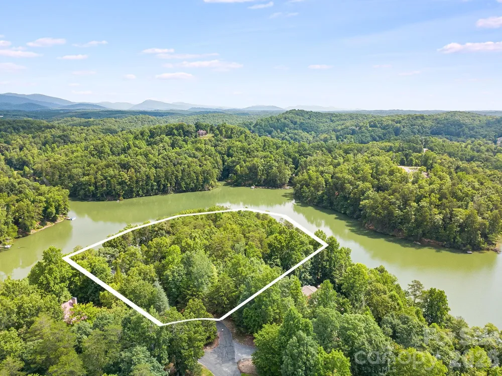 00 Canoe Drive #40 Mill Spring, NC 28756