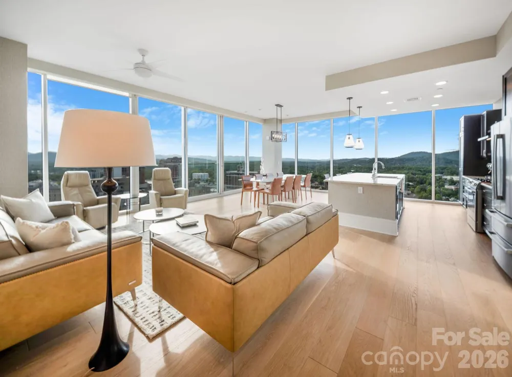 7 Patton Avenue #1605 Asheville, NC 28801