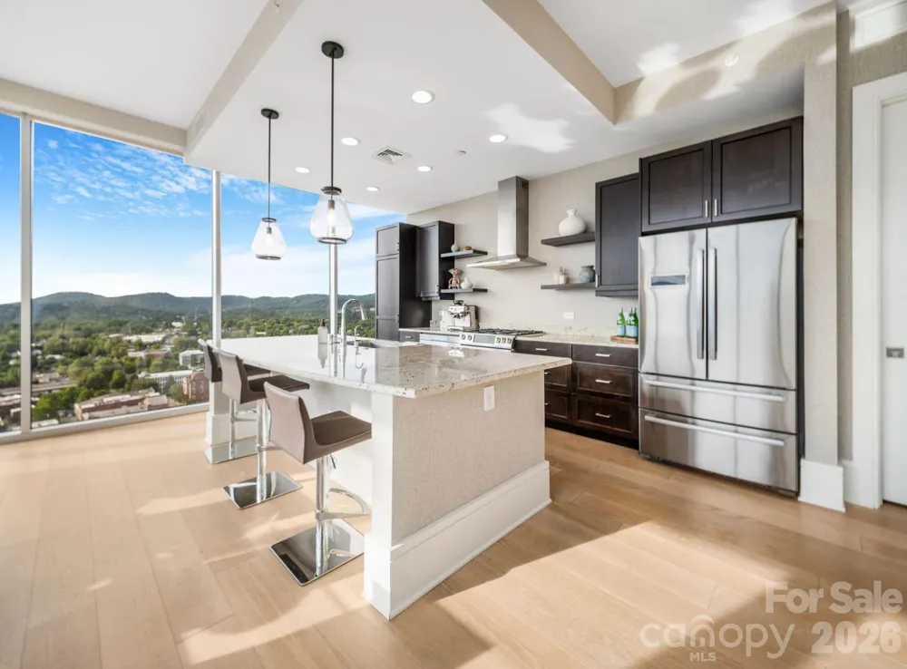 7 Patton Avenue #1605 Asheville, NC 28801