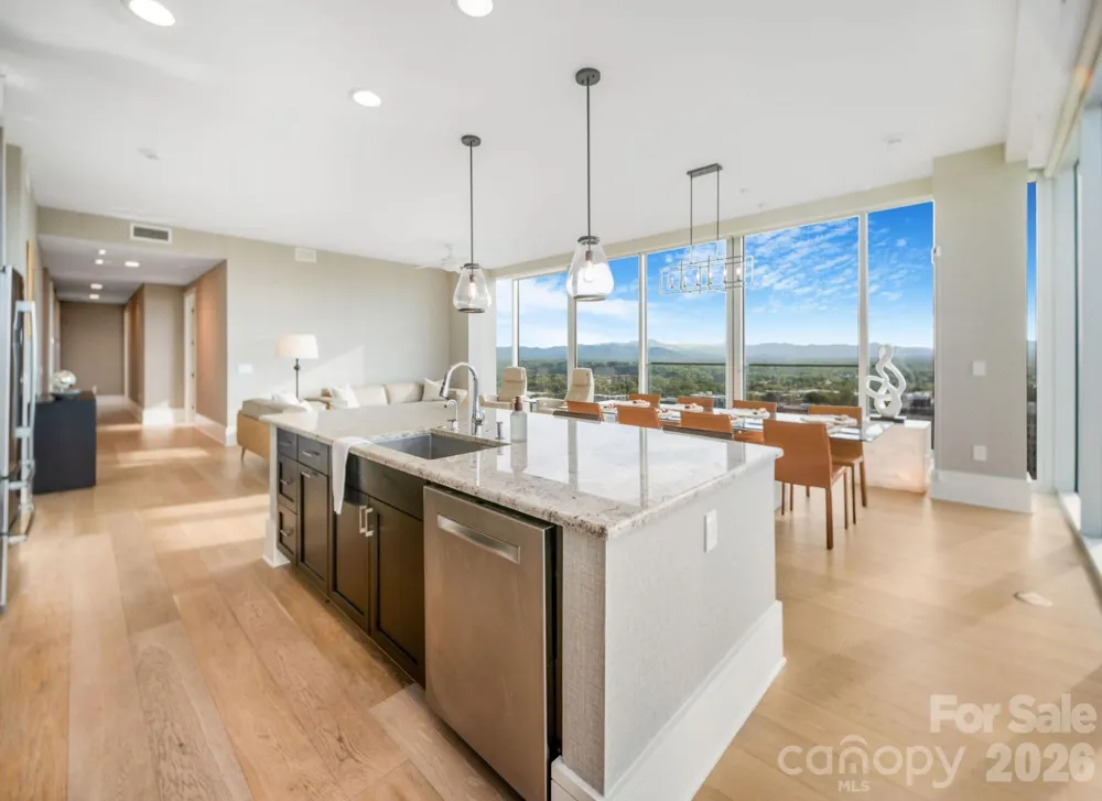 7 Patton Avenue #1605 Asheville, NC 28801