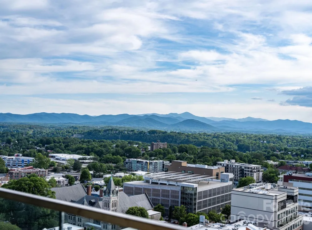 7 Patton Avenue #1605 Asheville, NC 28801
