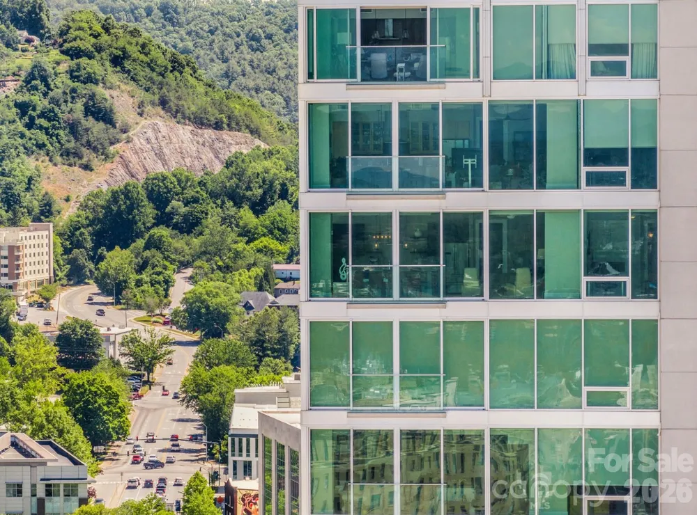 7 Patton Avenue #1605 Asheville, NC 28801