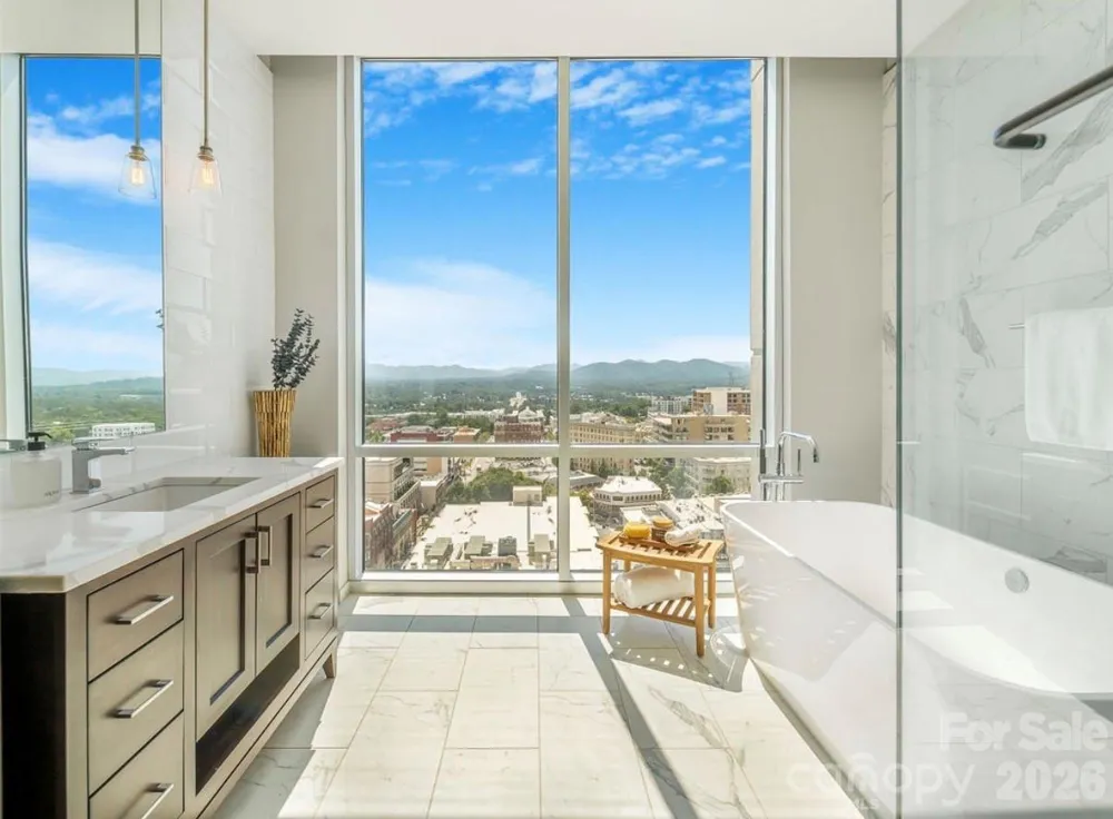 7 Patton Avenue #1605 Asheville, NC 28801