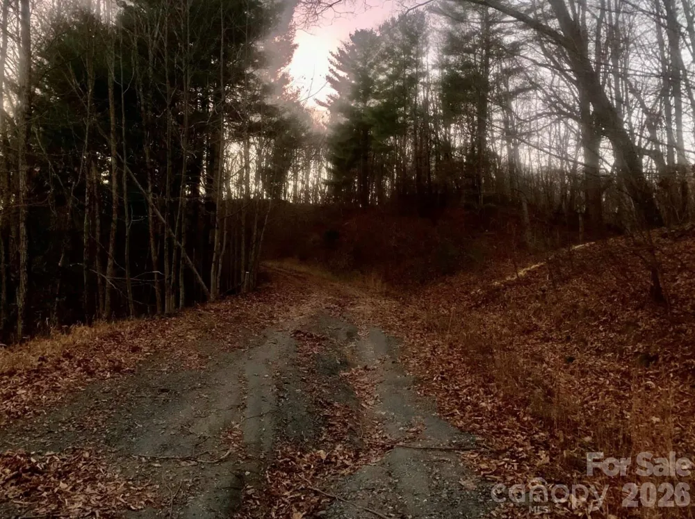 Lot 18 West Creek Road Warrensville, NC 28693