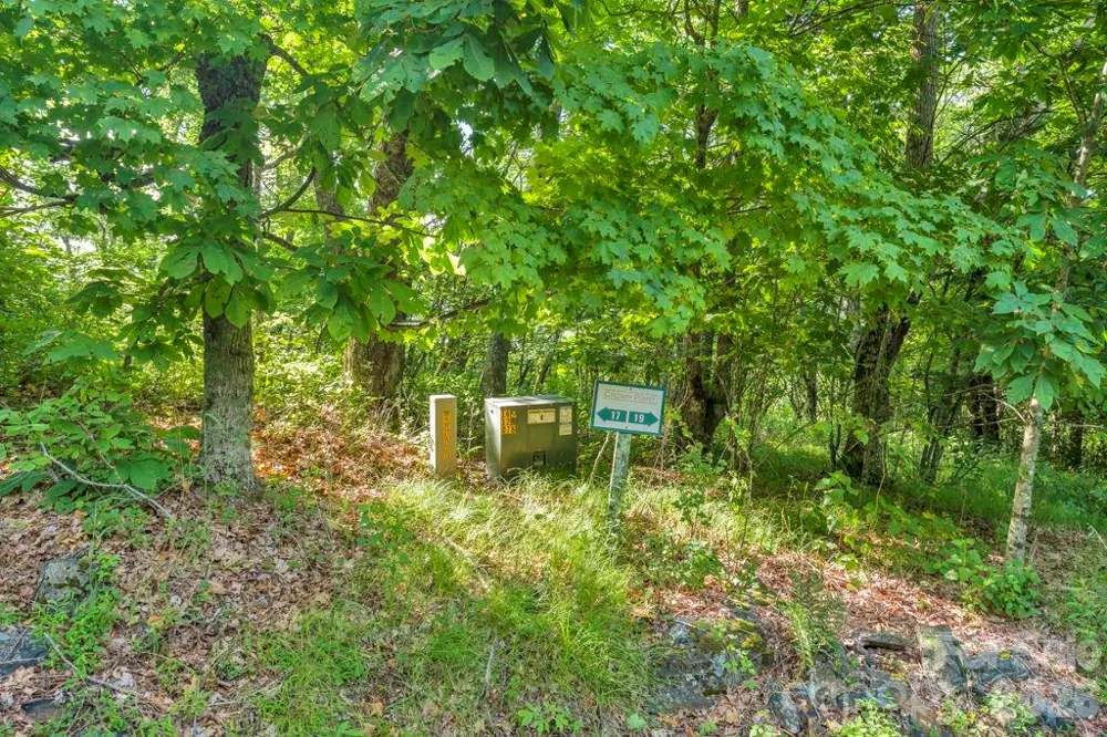 000 Crown Point Road #17 West Jefferson, NC 28694