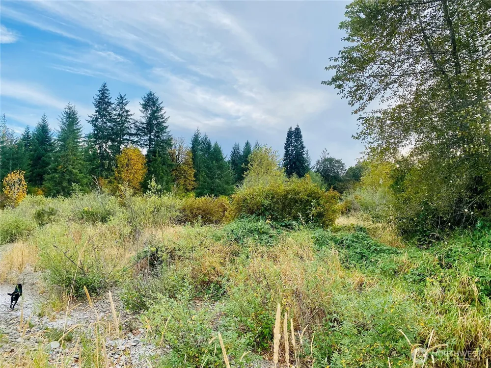 3444 W Matlock-Brady Road Elma, WA 98541