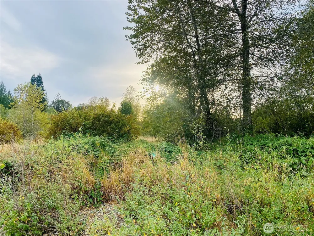 3444 W Matlock-Brady Road Elma, WA 98541