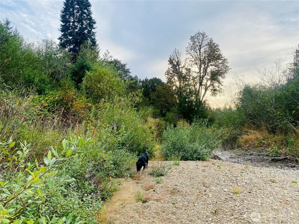 3444 W Matlock-Brady Road Elma, WA 98541