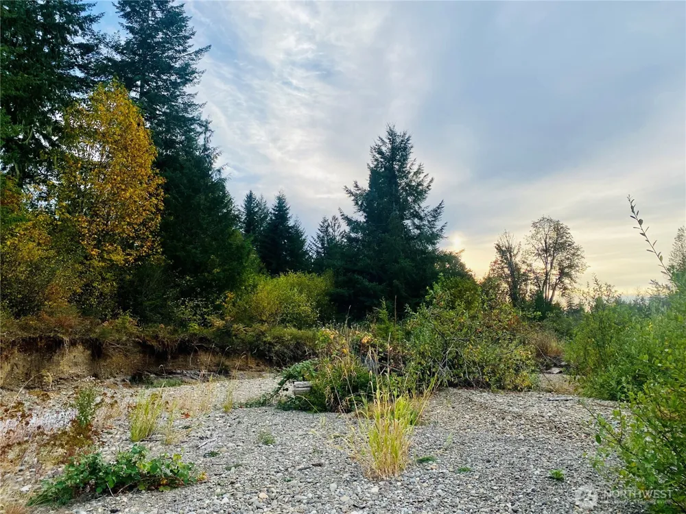 3444 W Matlock-Brady Road Elma, WA 98541